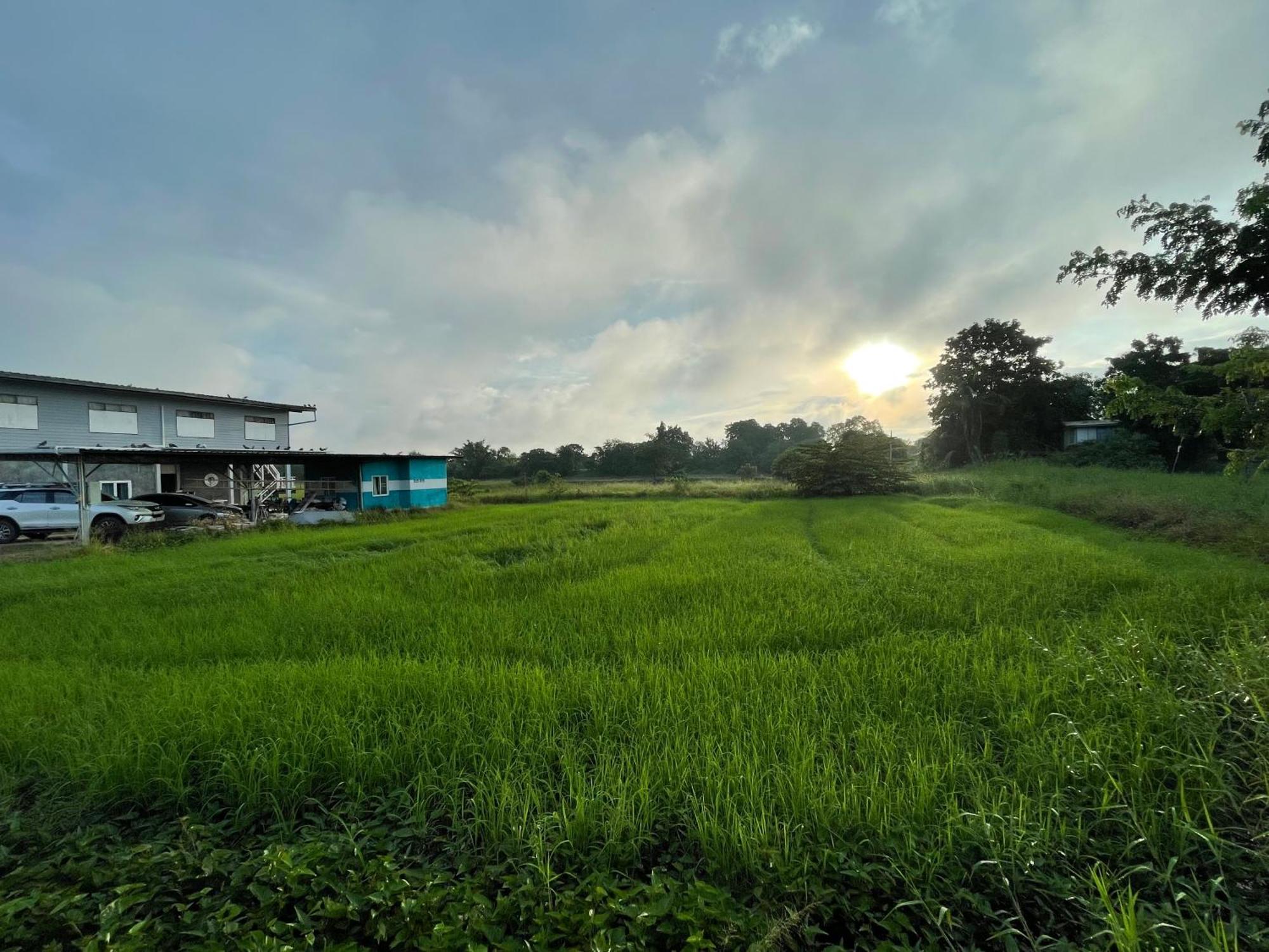 Srihome ยายศรีโฮมแอนแคมป์ปิ้ง Ban Don Tum Екстер'єр фото